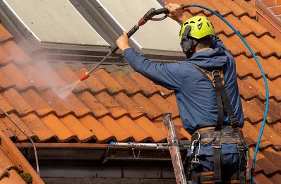 Démoussage et hydrofuge de toiture à Doucier